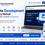 Website Development Company Mohali | IT Company Mohali