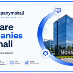 Best Software Companies in Mohali